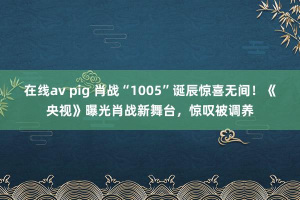 在线av pig 肖战“1005”诞辰惊喜无间！《央视》曝光肖战新舞台，惊叹被调养