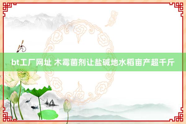 bt工厂网址 木霉菌剂让盐碱地水稻亩产超千斤