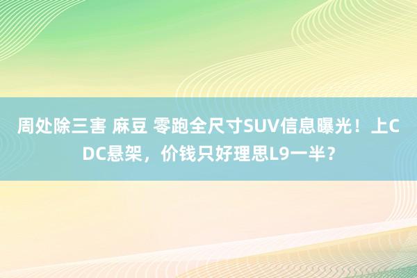 周处除三害 麻豆 零跑全尺寸SUV信息曝光！上CDC悬架，价钱只好理思L9一半？