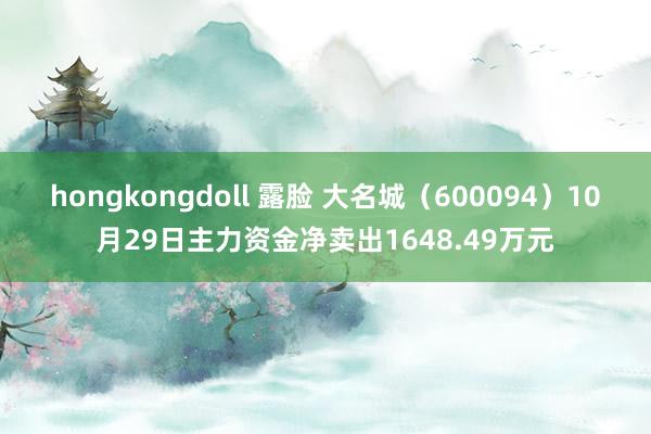 hongkongdoll 露脸 大名城（600094）10月29日主力资金净卖出1648.49万元