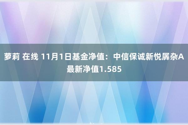 萝莉 在线 11月1日基金净值：中信保诚新悦羼杂A最新净值1.585