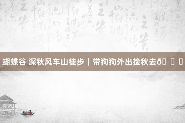 蝴蝶谷 深秋风车山徒步|带狗狗外出捡秋去🍁