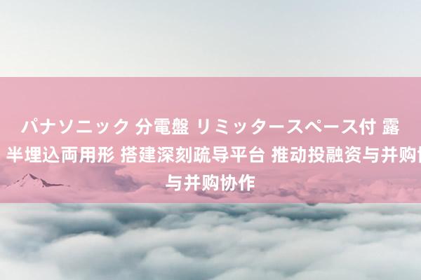 パナソニック 分電盤 リミッタースペース付 露出・半埋込両用形 搭建深刻疏导平台 推动投融资与并购协作