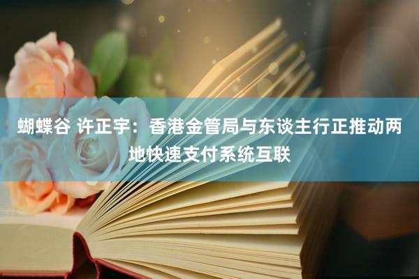 蝴蝶谷 许正宇：香港金管局与东谈主行正推动两地快速支付系统互联