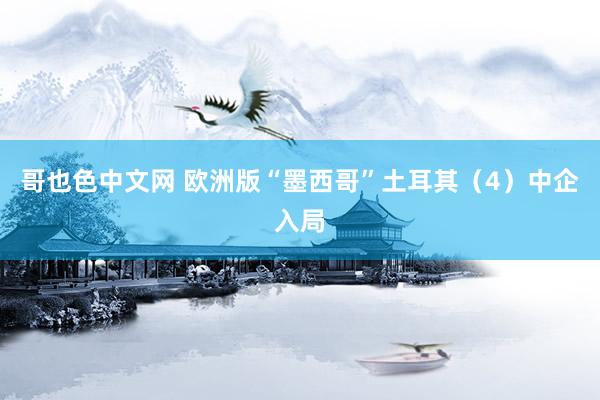哥也色中文网 欧洲版“墨西哥”土耳其（4）中企入局