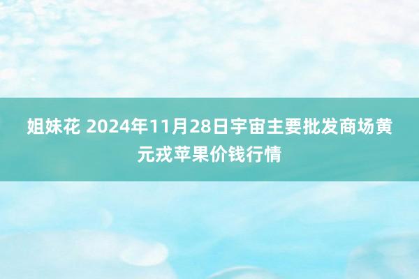 姐妹花 2024年11月28日宇宙主要批发商场黄元戎苹果价钱行情