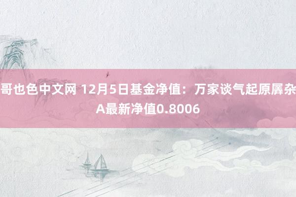 哥也色中文网 12月5日基金净值：万家谈气起原羼杂A最新净值0.8006