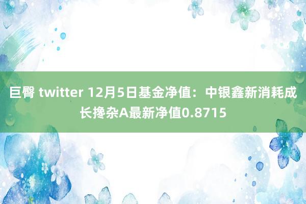 巨臀 twitter 12月5日基金净值：中银鑫新消耗成长搀杂A最新净值0.8715
