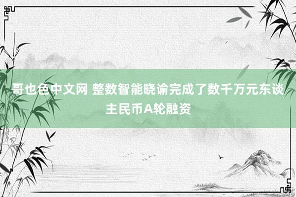 哥也色中文网 整数智能晓谕完成了数千万元东谈主民币A轮融资