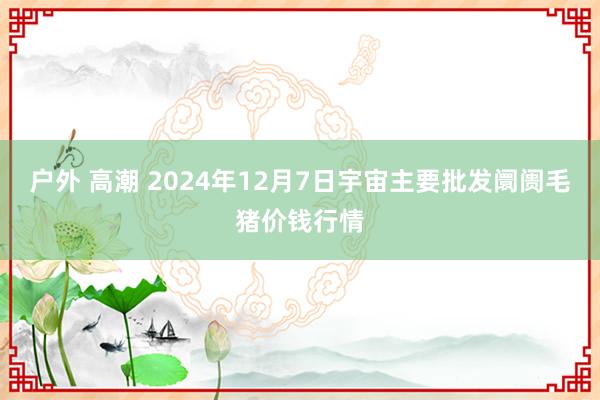 户外 高潮 2024年12月7日宇宙主要批发阛阓毛猪价钱行情