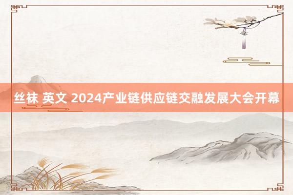 丝袜 英文 2024产业链供应链交融发展大会开幕