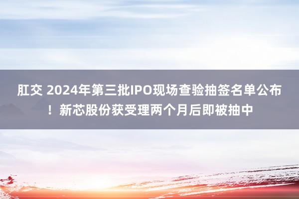 肛交 2024年第三批IPO现场查验抽签名单公布！新芯股份获受理两个月后即被抽中