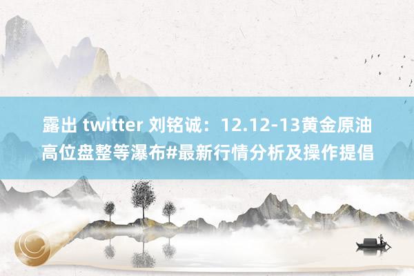 露出 twitter 刘铭诚：12.12-13黄金原油高位盘整等瀑布#最新行情分析及操作提倡