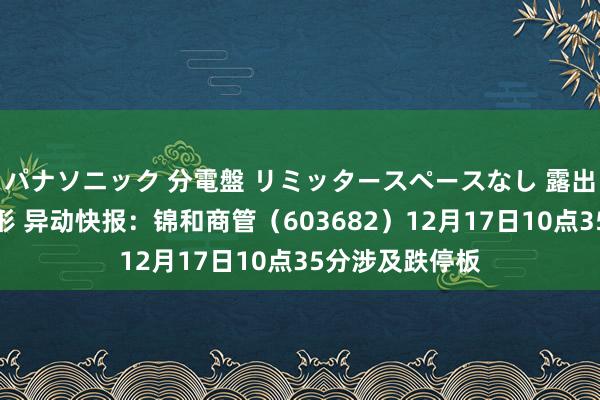 パナソニック 分電盤 リミッタースペースなし 露出・半埋込両用形 异动快报：锦和商管（603682）12月17日10点35分涉及跌停板