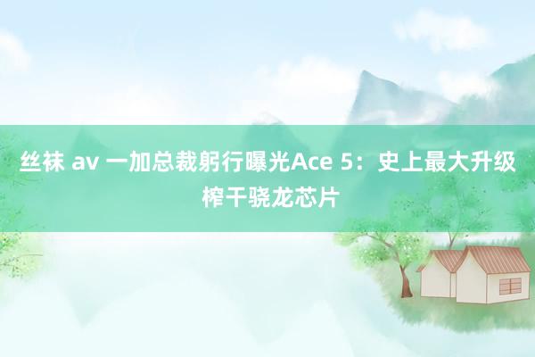丝袜 av 一加总裁躬行曝光Ace 5：史上最大升级 榨干骁龙芯片