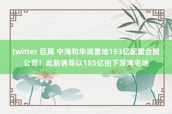 twitter 巨屌 中海和华润置地193亿配置合股公司！此前诱导以185亿拍下深湾宅地