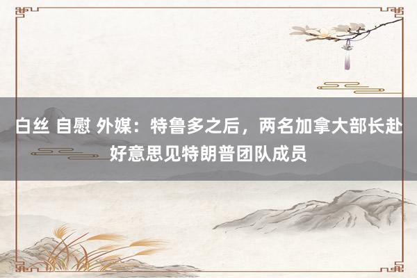 白丝 自慰 外媒：特鲁多之后，两名加拿大部长赴好意思见特朗普团队成员