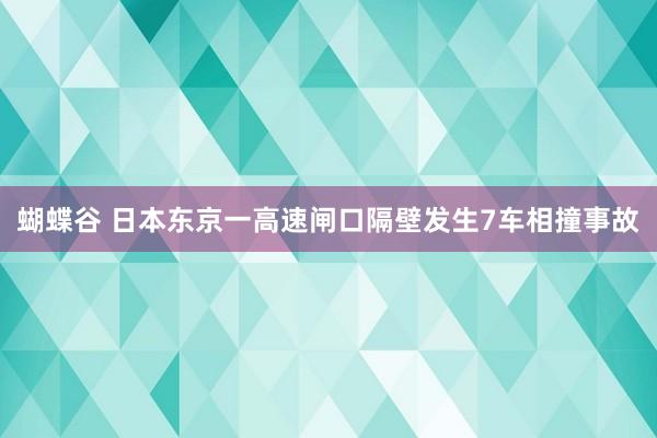 蝴蝶谷 日本东京一高速闸口隔壁发生7车相撞事故