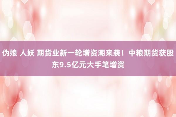 伪娘 人妖 期货业新一轮增资潮来袭！中粮期货获股东9.5亿元大手笔增资