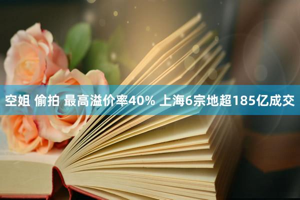 空姐 偷拍 最高溢价率40% 上海6宗地超185亿成交