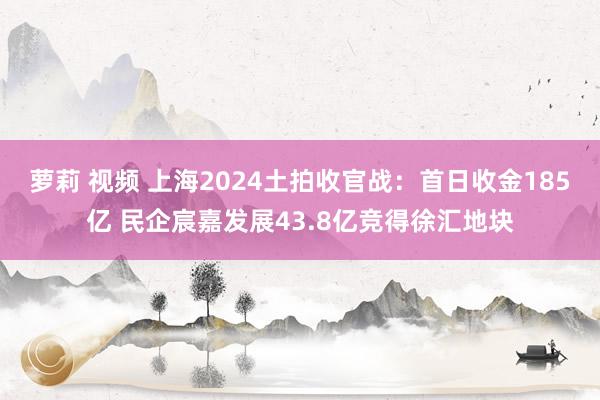 萝莉 视频 上海2024土拍收官战：首日收金185亿 民企宸嘉发展43.8亿竞得徐汇地块