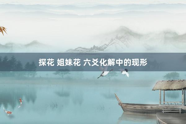 探花 姐妹花 六爻化解中的现形