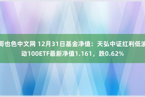 哥也色中文网 12月31日基金净值：天弘中证红利低波动100ETF最新净值1.161，跌0.62%