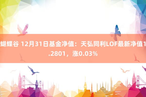 蝴蝶谷 12月31日基金净值：天弘同利LOF最新净值1.2801，涨0.03%