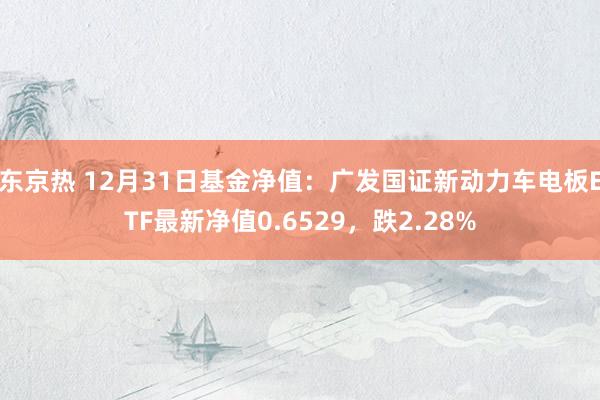 东京热 12月31日基金净值：广发国证新动力车电板ETF最新净值0.6529，跌2.28%
