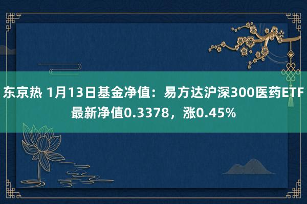 东京热 1月13日基金净值：易方达沪深300医药ETF最新净值0.3378，涨0.45%