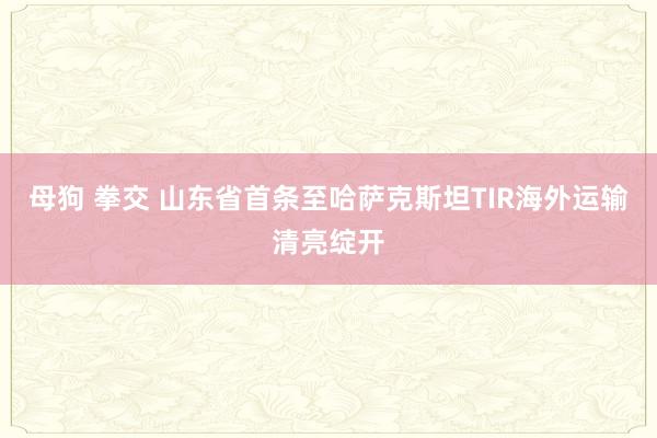 母狗 拳交 山东省首条至哈萨克斯坦TIR海外运输清亮绽开