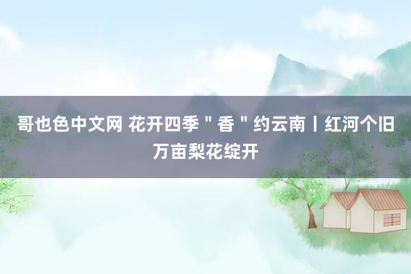 哥也色中文网 花开四季＂香＂约云南丨红河个旧万亩梨花绽开