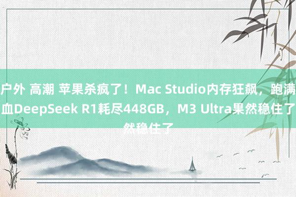 户外 高潮 苹果杀疯了！Mac Studio内存狂飙，跑满血DeepSeek R1耗尽448GB，M3 Ultra果然稳住了