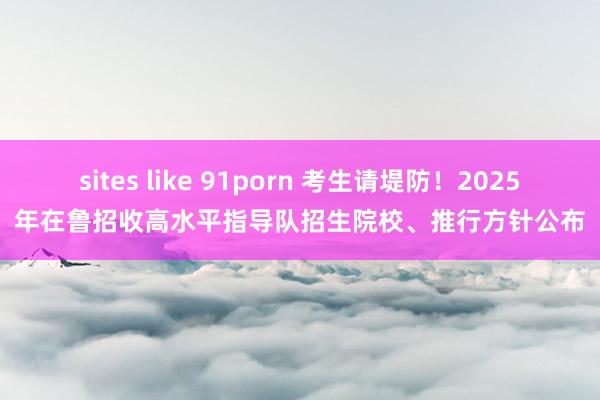 sites like 91porn 考生请堤防！2025年在鲁招收高水平指导队招生院校、推行方针公布