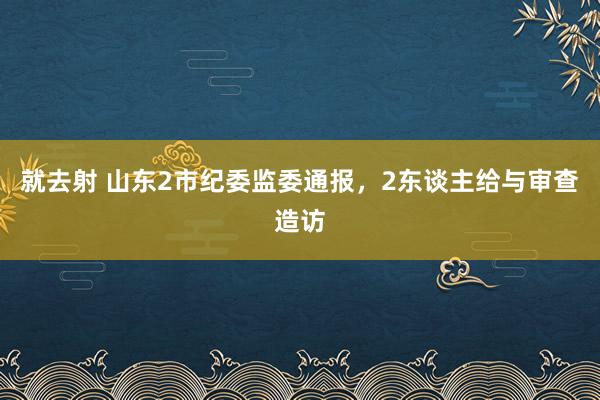 就去射 山东2市纪委监委通报，2东谈主给与审查造访