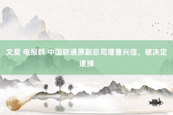 文爱 电报群 中国联通原副总司理曹兴信，被决定逮捕