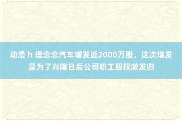 动漫 h 理念念汽车增发近2000万股，这次增发是为了兴隆日后公司职工股权激发归