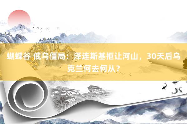 蝴蝶谷 俄乌僵局：泽连斯基拒让河山，30天后乌克兰何去何从？