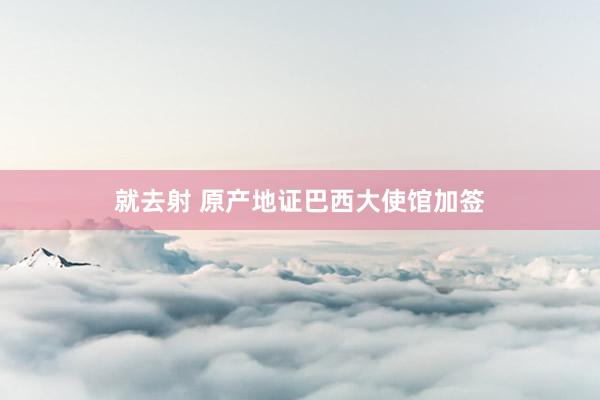 就去射 原产地证巴西大使馆加签