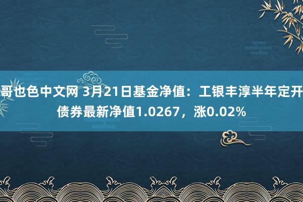 哥也色中文网 3月21日基金净值：工银丰淳半年定开债券最新净值1.0267，涨0.02%