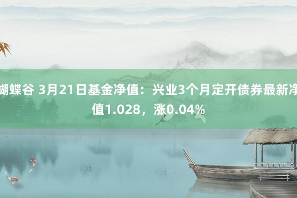 蝴蝶谷 3月21日基金净值：兴业3个月定开债券最新净值1.028，涨0.04%