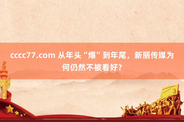 cccc77.com 从年头“爆”到年尾，新丽传媒为何仍然不被看好？