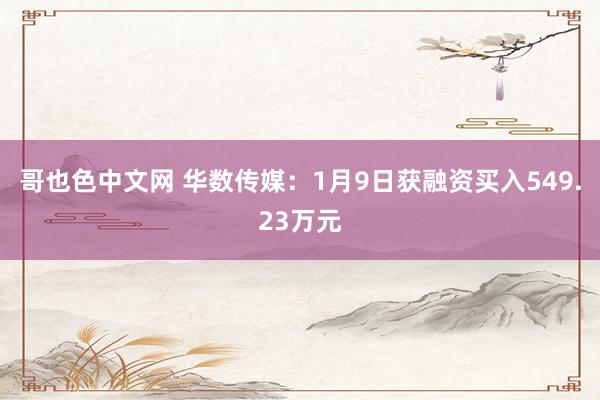 哥也色中文网 华数传媒：1月9日获融资买入549.23万元