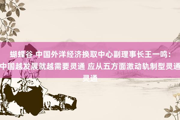 蝴蝶谷 中国外洋经济换取中心副理事长王一鸣：中国越发展就越需要灵通 应从五方面激动轨制型灵通