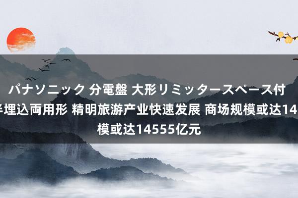 パナソニック 分電盤 大形リミッタースペース付 露出・半埋込両用形 精明旅游产业快速发展 商场规模或达14555亿元