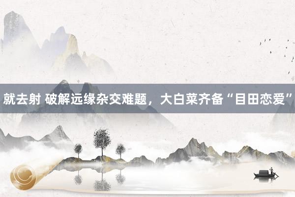 就去射 破解远缘杂交难题，大白菜齐备“目田恋爱”