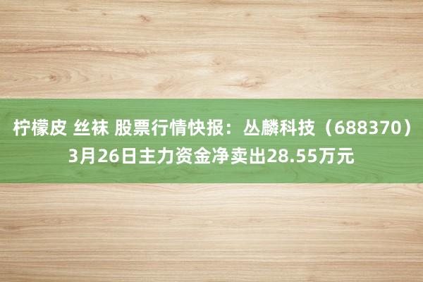 柠檬皮 丝袜 股票行情快报：丛麟科技（688370）3月26日主力资金净卖出28.55万元