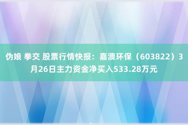 伪娘 拳交 股票行情快报：嘉澳环保（603822）3月26日主力资金净买入533.28万元