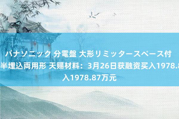 パナソニック 分電盤 大形リミッタースペース付 露出・半埋込両用形 天赐材料：3月26日获融资买入1978.87万元