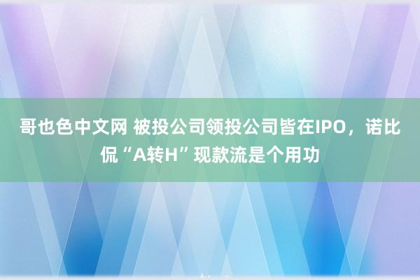 哥也色中文网 被投公司领投公司皆在IPO，<a href=